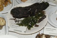 _MG_2318_DxOweb