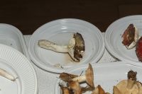 _MG_2403_DxOweb