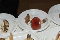 _MG_2404_DxOweb