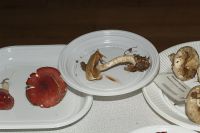 _MG_2431_DxOweb