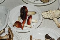 _MG_2433_DxOweb