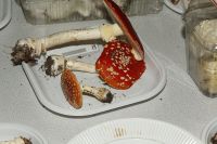 _MG_2466_DxOweb