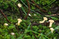IMG_1820_DxOweb