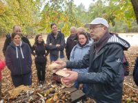 20251026_162449 20251026_162449