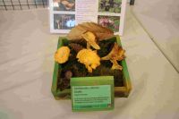 IMG_3690