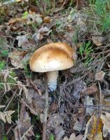 web2_101631