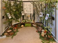 20251011_175552_DxOweb